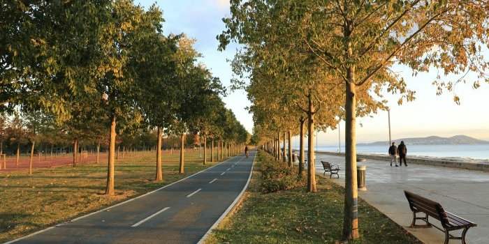 Visite guidée à vélo avec la Société d'histoire de Toronto