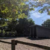 Balade à Riverdale Farm