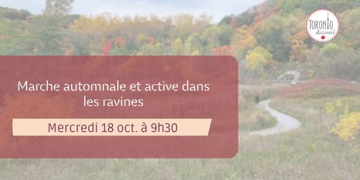Marche automnale sportive dans les ravins
