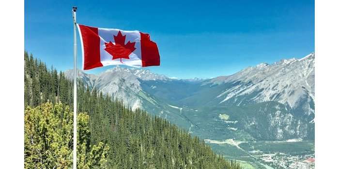 Rencontrer l'équipe de Toronto Accueil au LFT