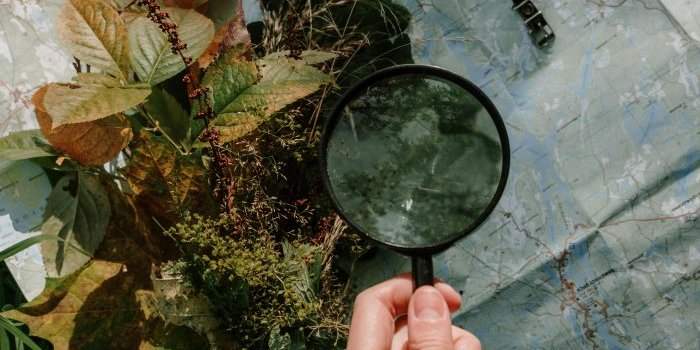 Scavenger Hunt