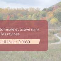 Marche automnale sportive dans les ravins