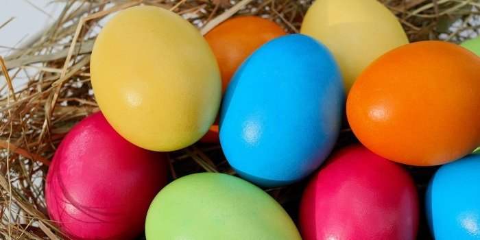 Chasse aux Œufs de Pâques