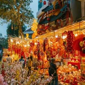 Festival Taste of Vietnam
